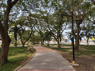 Empty Park Pathway Surrounded by Green Trees on a Sunny Day