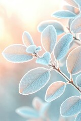 Frosted plant leaves with soft pastel background and warm sunlight