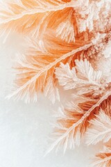 Close up of delicate frost crystals forming on a branch with orange hues, appearing frozen and intricate.