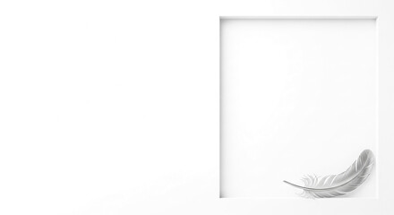 White feather on a white background within a white frame, showcasing a minimalist design concept emphasizing simplicity, elegance, and purity