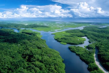 aerial view of the everglades marshes, an aerial photograph with lots of green and brown colors