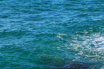 Naklejka premium Beach by the sea with foam and spray from the waves