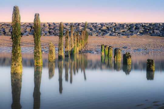 Wooden Groynes Reflected in Calm Water at Low Tide