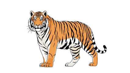 Fototapeta premium Majestic and realistic vector illustration of a standing Bengal tiger, showcasing its powerful stance and distinctive orange and black stripes.