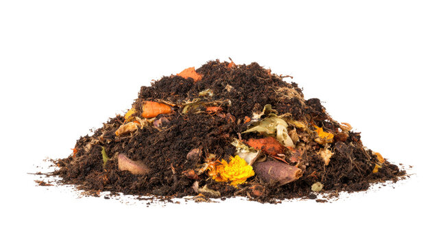 Pile of compost