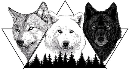 Three Wolves In Geometric Forest Silhouette Photo Black And White Illustration wolf animal