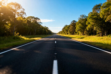 Long Asphalt Road Through Green Forest