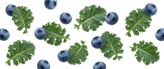 Fresh green kale leaves and ripe blueberries scattered in a random dynamic pattern depicting natural food elements fruit healthy organic ingredient superfood nutrition raw transparent background