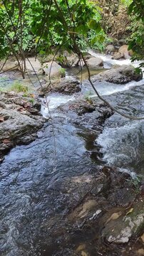 Refreshing Clear Forest Stream Flowing Over Wet Rock Stone Lush Green Nature Landscape with Fast River Water Tropical Creek Offering Calm Peaceful Outdoor Wilderness for Relaxation and Meditation