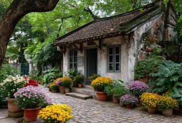 old house in hanoi, vietnam, with flower pots on the side of the street, flowers for sale at the door and window