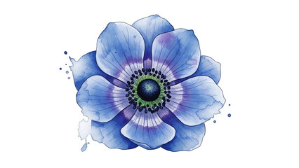 Blue Anemone Flower in Watercolor Style with Soft Pastel Colors on White Background for Greeting Cards