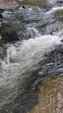 Dynamic River Water Flow Showing Rapid Movement With Splash And Foam Over Wet Stone Rock Surface Creating Peaceful Nature Energy In Cold Clear Mountain Stream Forest Environment Outdoors