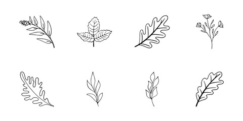 Elegant Hand-Drawn Botanical Line Art Vector Set Minimalist Leaves and Floral Doodles Collection