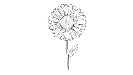 Simple flower illustration in minimalist style with line art in black and white for graphic design