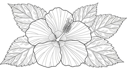 Hibiscus flower illustration in line art style with black outline on white background for coloring book