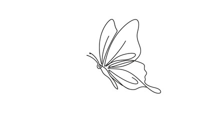 Butterfly in minimalist style with simple line art on white background for graphic design