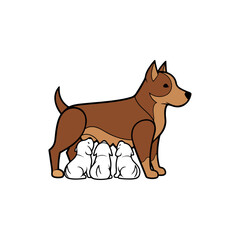 Brown dog with white puppies nursing.