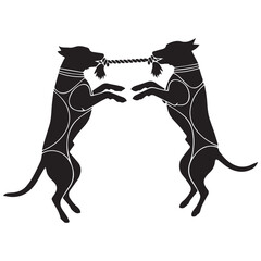 Two dogs play tug of war with rope toy in dynamic pose