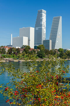 Stadtansicht von Basel mit Roche Tower und Rhein, Schweiz