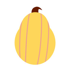 Pumpkin vector illustration