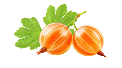 Two orange fruits with green leaves on black background fresh oranges and green foliage depicted against dark setting