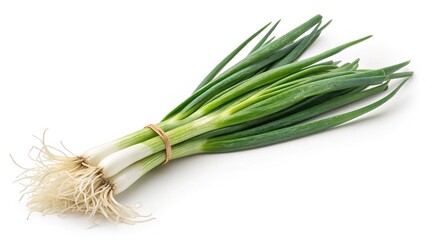 Freshly harvested green onions ready for cooking or garnishing dishes on transparent background