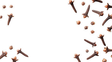 Group of mushrooms shown against plain black background variety of mushrooms stand together on plain black surface