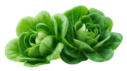 Vast landscape under serene sky at golden hour expansive natural beauty at sunrise or sunset