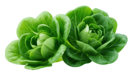 Vast landscape under serene sky at golden hour expansive natural beauty at sunrise or sunset