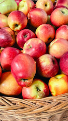 Close-up of fresh ripe red and yellow apples in a wicker basket at a local market or grocery store