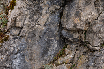 Close up shot of rough rock face with green moss and details. Perfect for backgrounds.