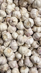 Full frame of fresh organic white garlic bulbs piled at a local market, perfect culinary background