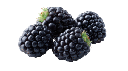 Bunch of black grapes dark background close up shows ripe black grapes against a dark backdrop