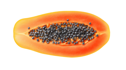 Repetitive word papa string displayed the word papa repeats consistently throughout