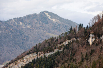 Scenic landscape of mountains covered in trees under a cloudy sky.