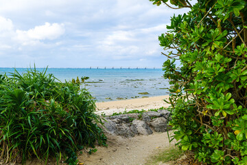 沖縄で見つけた南国の豊かな自然と文化を感じる風景