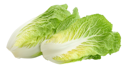 Two instances of repeated element depiction of two recurring elements two instances