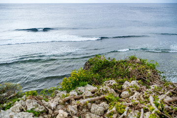 沖縄で見つけた南国の豊かな自然と文化を感じる風景
