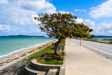 沖縄で見つけた南国の豊かな自然と文化を感じる風景