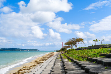 沖縄で見つけた南国の豊かな自然と文化を感じる風景