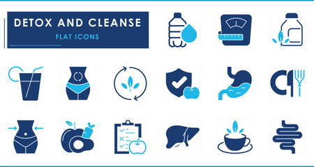 A set of flat icons related to Detox and Cleanse. Stomach, intestine, green, herbal, diet, water, routine, and so on.