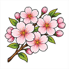 pink cherry blossom vector