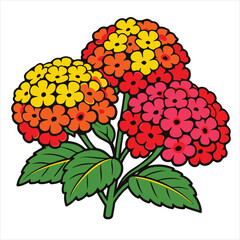 vector illustration of a red flower lantana