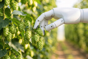 a robot's smooth white articulated arm gently picking clusters of hops from a hop vine