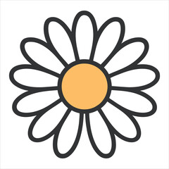 daisy flower vector illustration