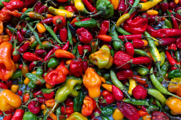 red and green chili peppers