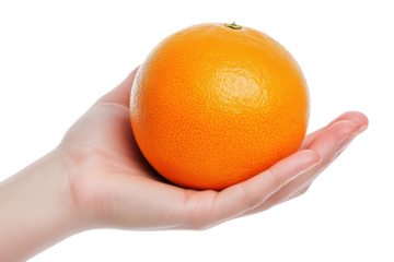 Hand holding a fresh orange isolated on transparent background