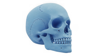 Blue 3d printed human skull model isolated on transparent background