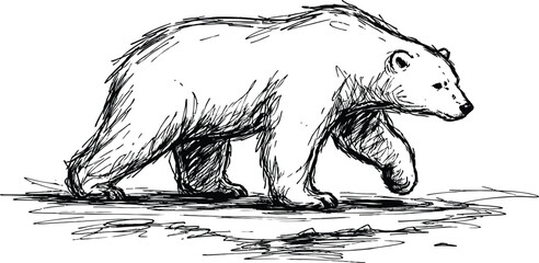 Polar Bear Walking Sketch Hand Drawn Vector Illustration of Wildlife Animal in Black Ink Style
