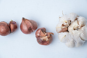 A group of fresh red shallots and a whole garlic bulb on a clean white surface. Essential organic spices and herbs for healthy cooking and seasoning.
